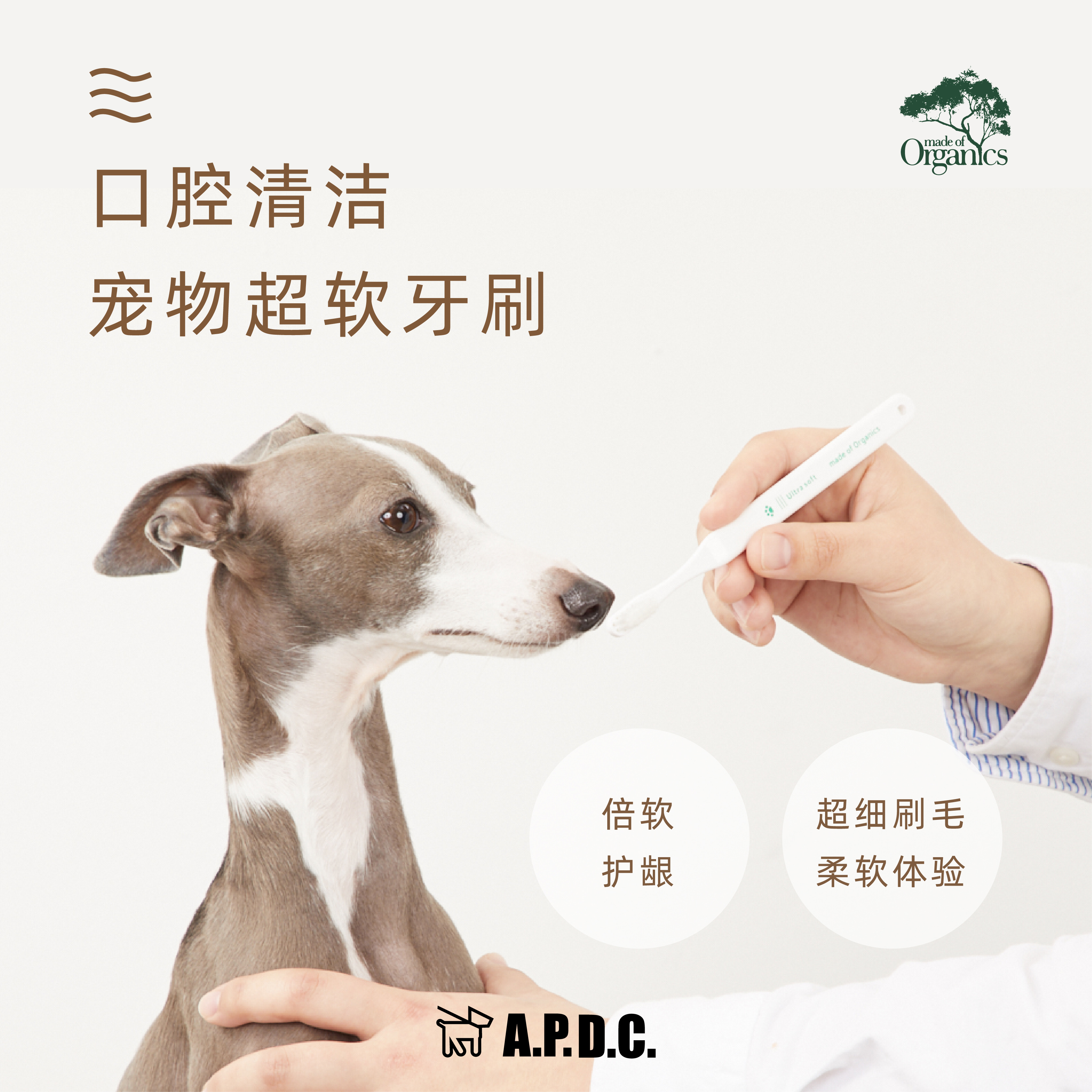 宠物猫咪狗狗清洁牙垢结石除口臭