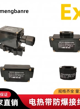 电伴热带电源接线盒 FJH-2直通二通尾端终端三通防爆配件接线盒