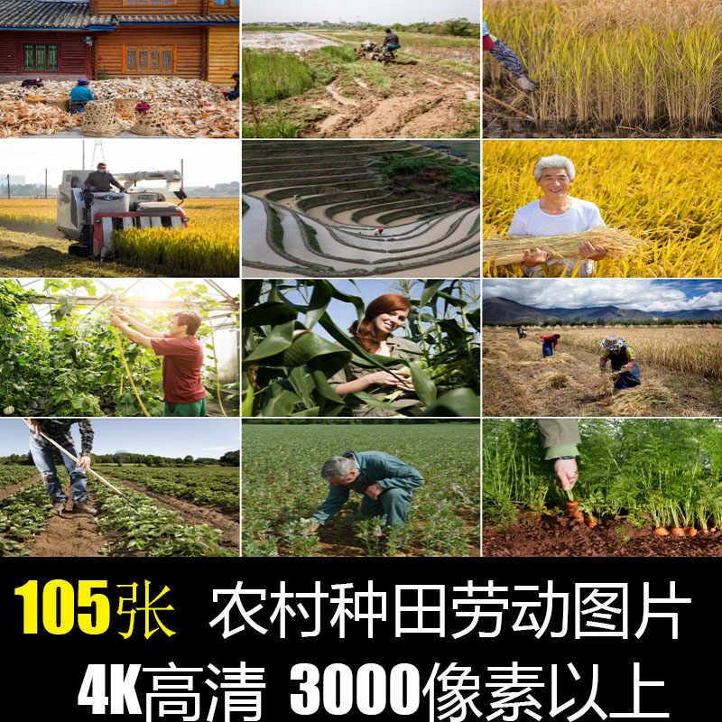 农村生活田园风景画干活农民工丰收乡村劳动照片4K高清晰图片素材