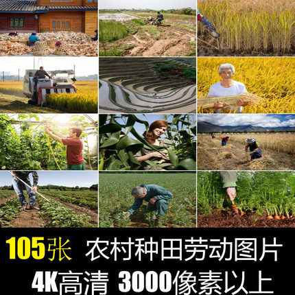 农村生活田园风景画干活农民工丰收乡村劳动照片4K高清晰图片素材