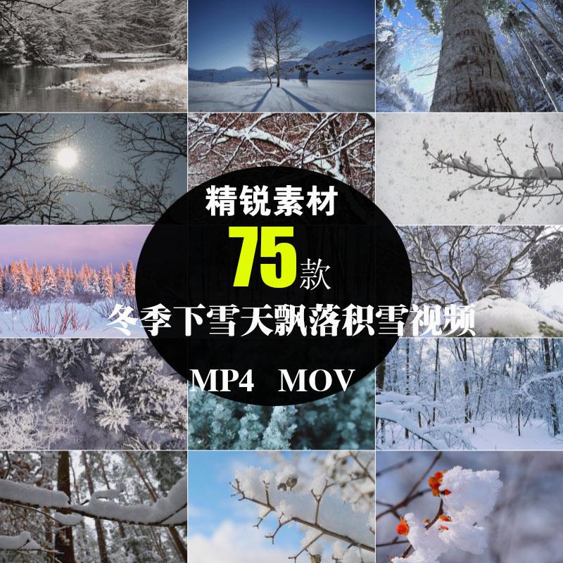 冬季下雪天树林树枝头雪花飘落雪景积雪覆盖航拍摄影短片视频素材