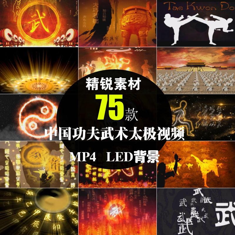 中国武术动作水墨古风功夫太极南拳北腿LED背景屏幕动态视频素材