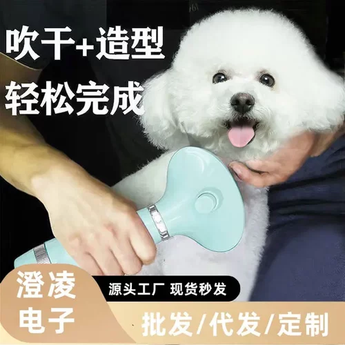宠物吹风梳机拉毛一体猫狗吹毛