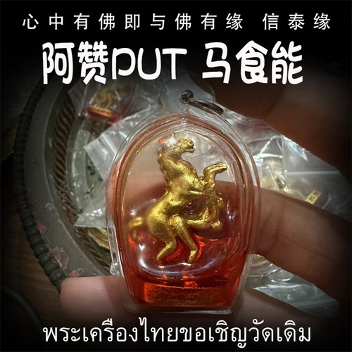 泰国佛牌 阿赞put 马食能  花草油 亚克力防水外壳 男女吊坠
