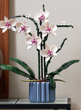 兰花绿色植物盆景永生花束玫瑰花摆件女孩拼装积木玩具礼物10311