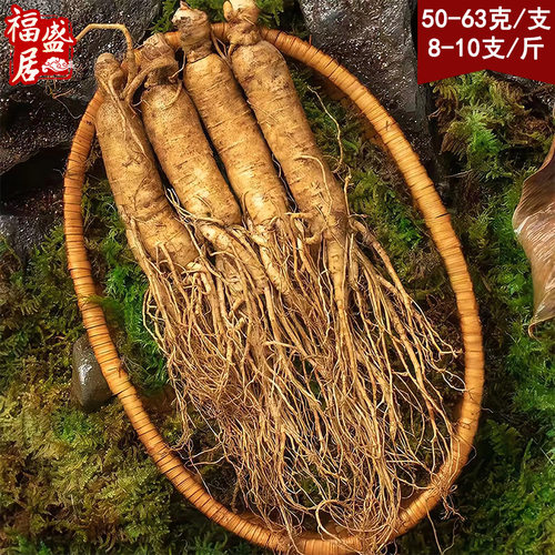 年货正宗特长白山新鲜人参1斤装现挖现售带土鲜参东北特产鲜人参