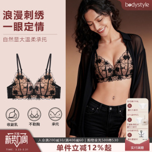 布迪设计 26年新款法式蕾丝纯欲三角杯无钢圈小胸聚拢显大内衣女