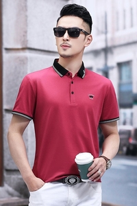 B5103钱塘2021-1夏季男士时尚短袖polo衫T恤翻领男装商务休闲图片