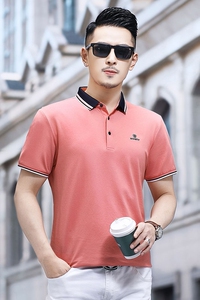 B5111钱塘2021-1夏季男士时尚短袖polo衫T恤翻领男装商务休闲图片