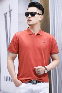 B5113钱塘2021-1夏季男士绅士短袖polo衫T恤翻领男装商务休闲图片