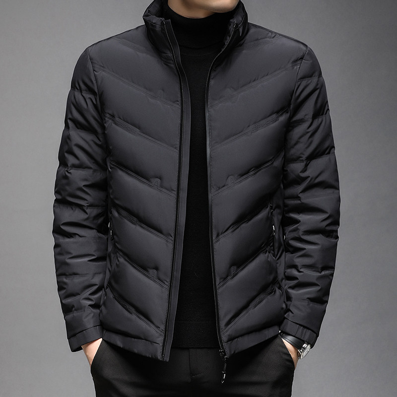 J1009钱塘2020-1 冬季90白鸭绒羽绒服加厚青年立领休闲保暖P195图片
