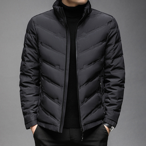 J1009钱塘2020-1冬季90白鸭绒羽绒服加厚青年立领休闲保暖P195