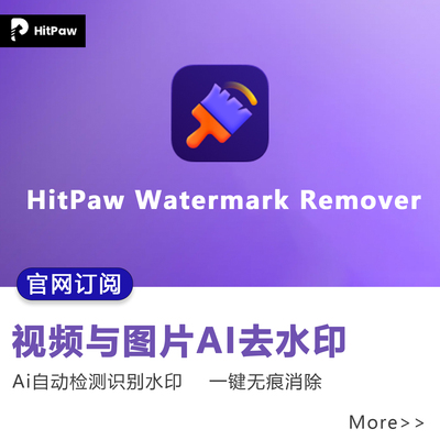 官网订阅HitPaw Watermark Remover视频/图片ai水印一键移除工具
