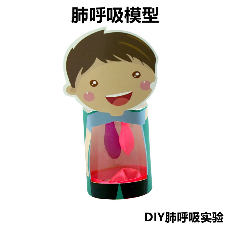 肺呼吸模型科学实验科