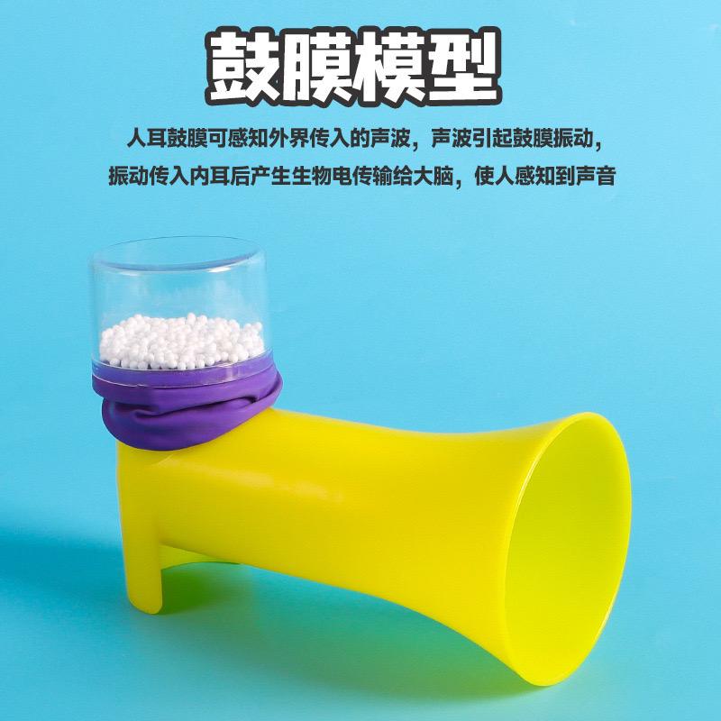 自制鼓膜实验器科学实验鼓膜模型
