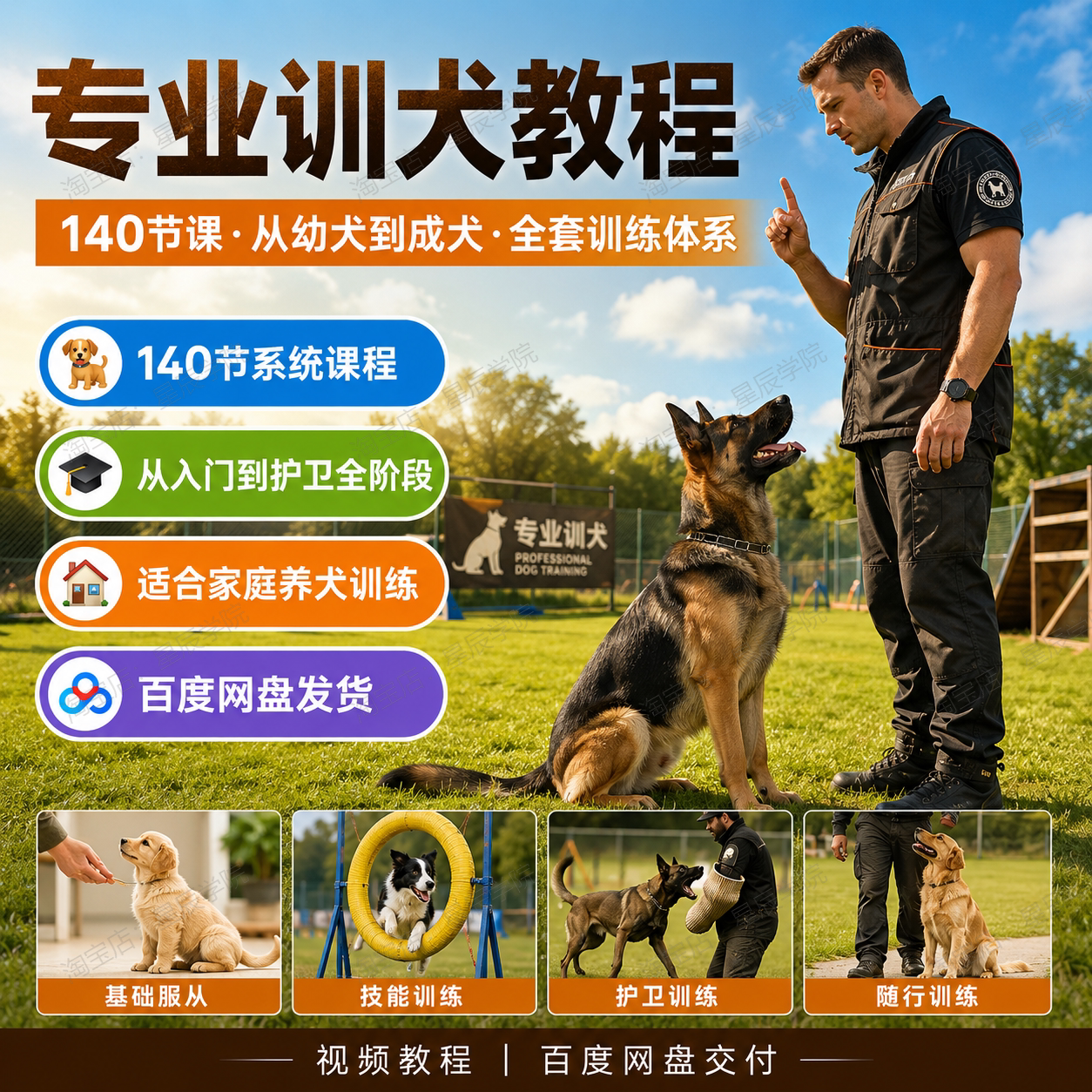 专业训犬教程140节课幼犬训练设计素材/源文件
