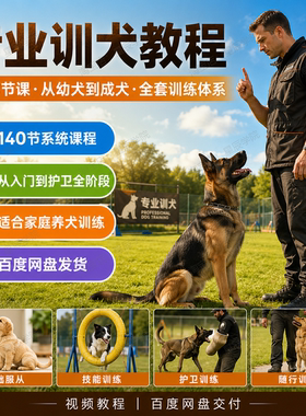 专业训犬教程140节课幼犬训练成犬服从行为纠正扑咬护卫训狗视频