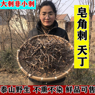 野生天然新鲜皂角刺皂荚刺皂刺天丁皂刺皂角针天钉天丁明干品包邮