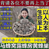 山东泰山纯野生马蜂窝露蜂房蜂巢黄蜂窝老蜂巢正宗中药材100g 包邮
