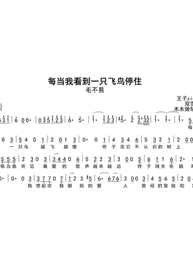 毛不易 - 每当我看到一只飞鸟停住 简谱吉他谱电子版高清完整曲谱