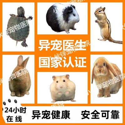 异宠医生问诊仓鼠兔子犬猫疾病咨询蜥蜴乌龟蛇爬宠异宠兽医在线