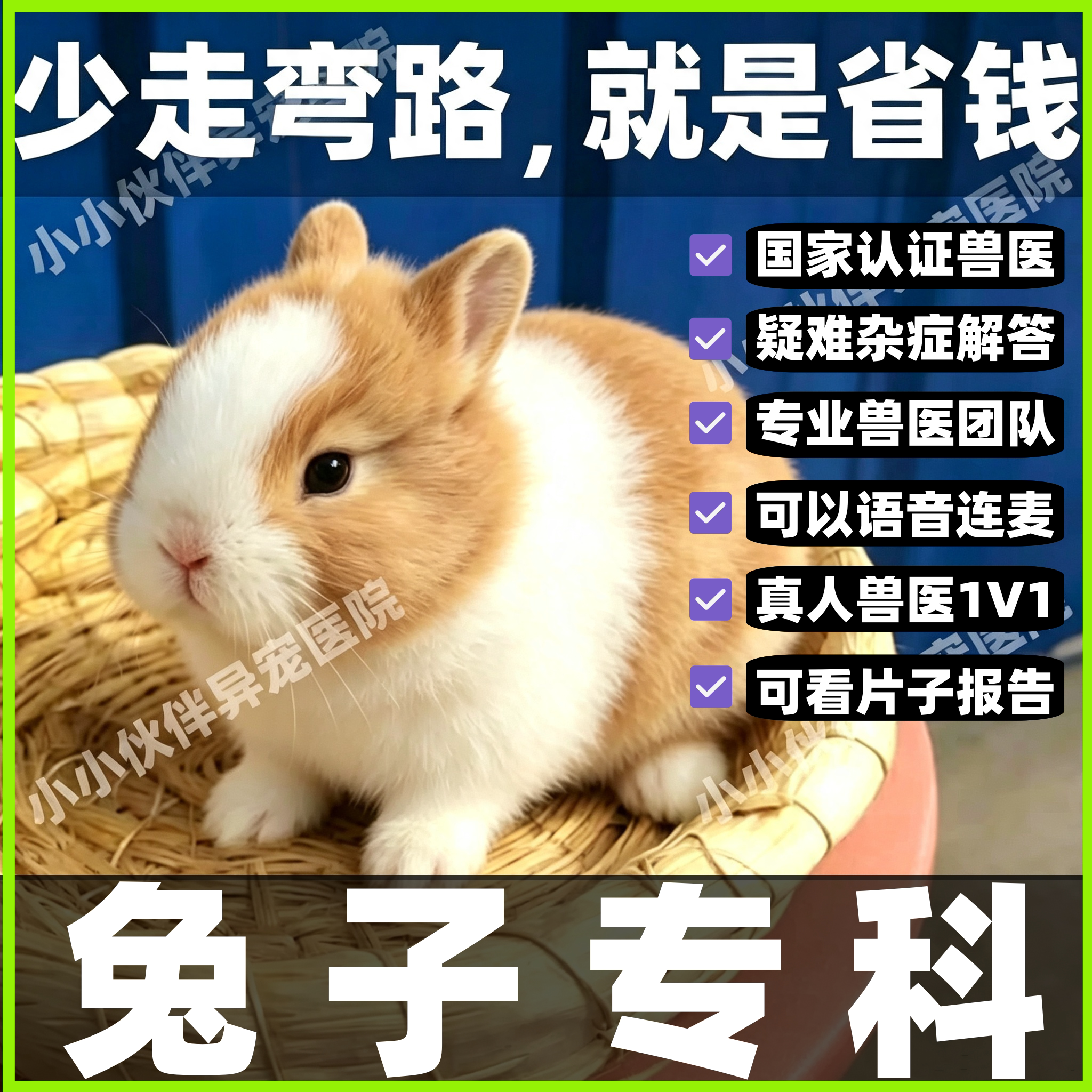 宠物医生兔子医生在线咨询问诊24小时兽医在线诊疗诊断兔病和预防