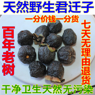 深山野生百年老树 野生大黑枣 君迁子特级新品上市原产地发货