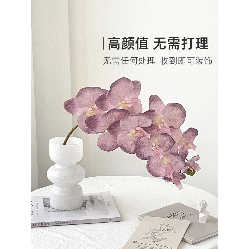 蝴蝶兰真仿花摆设花瓶hdl-yyy小高级感假花众艺花摆件装饰客厅玄