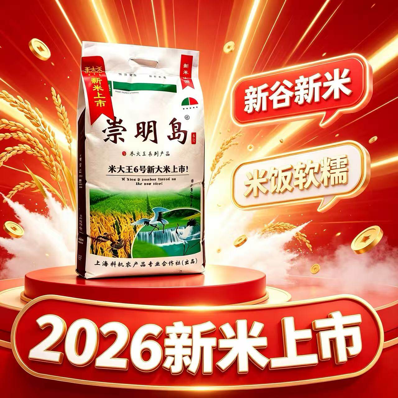 崇明岛新大米10kg软香米大王6号
