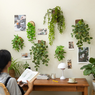 掬涵仿真绿植假花装饰摆件客厅餐桌花艺摆设花盆栽室内植物墙挂件