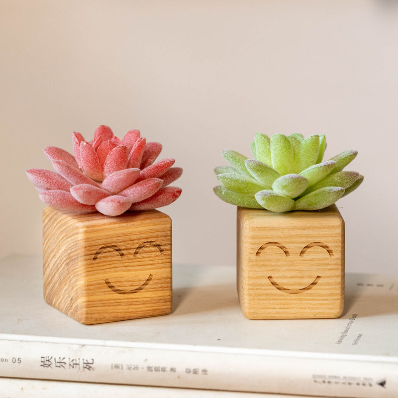 掬涵治愈小摆件实木仿真多肉桌面摆件可爱多巴胺微景观桌面装饰,家居饰品,桌面摆件,淘宝优惠券,粉丝福利购,淘宝优惠卷