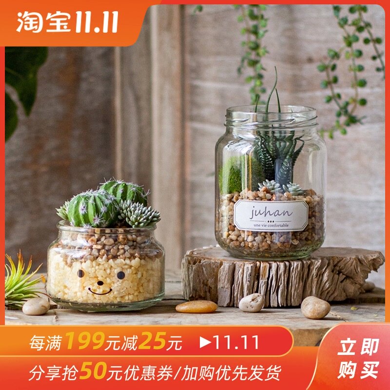 掬涵 仿真绿植物小盆栽微景观办公室桌面摆设迷你仙人掌多肉装饰