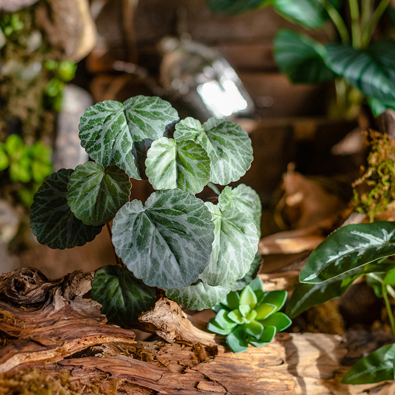 掬涵仿真绿植新款海棠叶把束植物