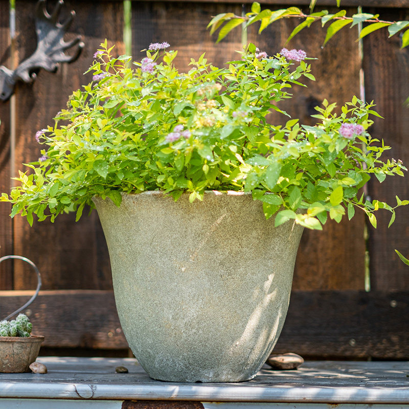 掬涵仿水泥花盆加厚大号多肉绿植环保PP树脂复古花器庭院抗老化,家居饰品,花盆,淘宝优惠券,粉丝福利购,淘宝优惠卷