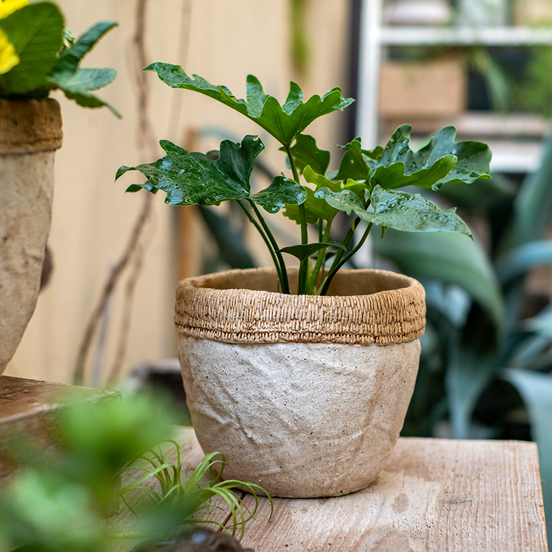 掬涵布纹广口艺术风陈设水泥花盆