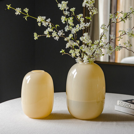 玻璃花瓶摆件客厅轻奢插花高级复古感透明水养水培器皿富贵竹鲜花