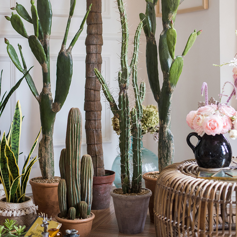 美洲仙人掌热带沙漠软装道具造景