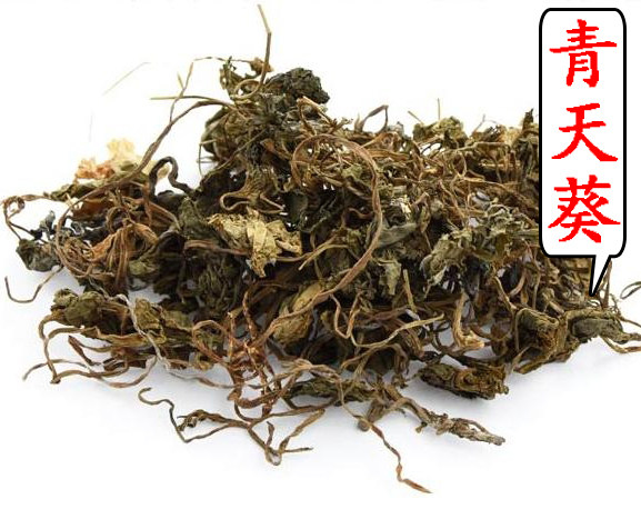 中药材细叶青天葵500克 独脚天葵猪乸耳 珍珠叶 天然半边伞坠千斤