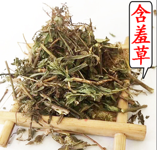 怕羞草望江南 中药材 红骨茎含羞草 500g干品中草药含羞草 感应草