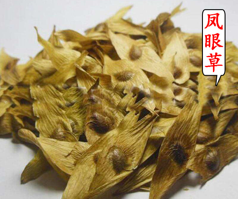中药材 凤眼草500克 椿荚 凤眼子 臭树铃铛 樗树子 臭椿子 春铃子 - 实物图