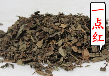 中药材一点红2斤  中草药材 红背叶羊蹄草 红头草 叶下红500g图片