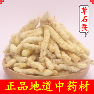 无硫土冬虫草参 白虫草参 地蚕 甘露子 泽兰根 500克中药材草石蚕
