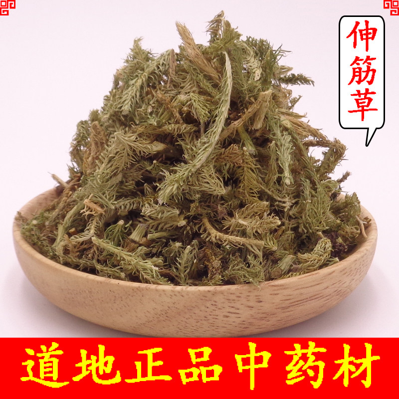 中药材伸筋草 马尾伸筋草泡脚 石松 狮子草 狮子尾500克
