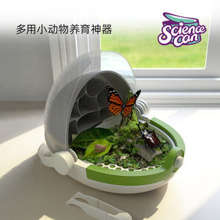 科学罐头学生养蚕套装儿童昆虫饲养盒观察桶蚕宝宝活物养殖太空舱