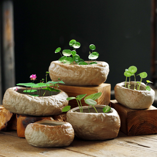 大口径水培铜钱草花盆水仙盆睡莲碗莲陶瓷无孔特价水养大号清仓