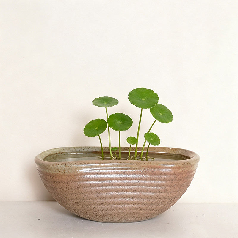无孔水培花盆陶瓷柴烧凹凸花盆粗陶透气创意个性磨砂简约仿石造型