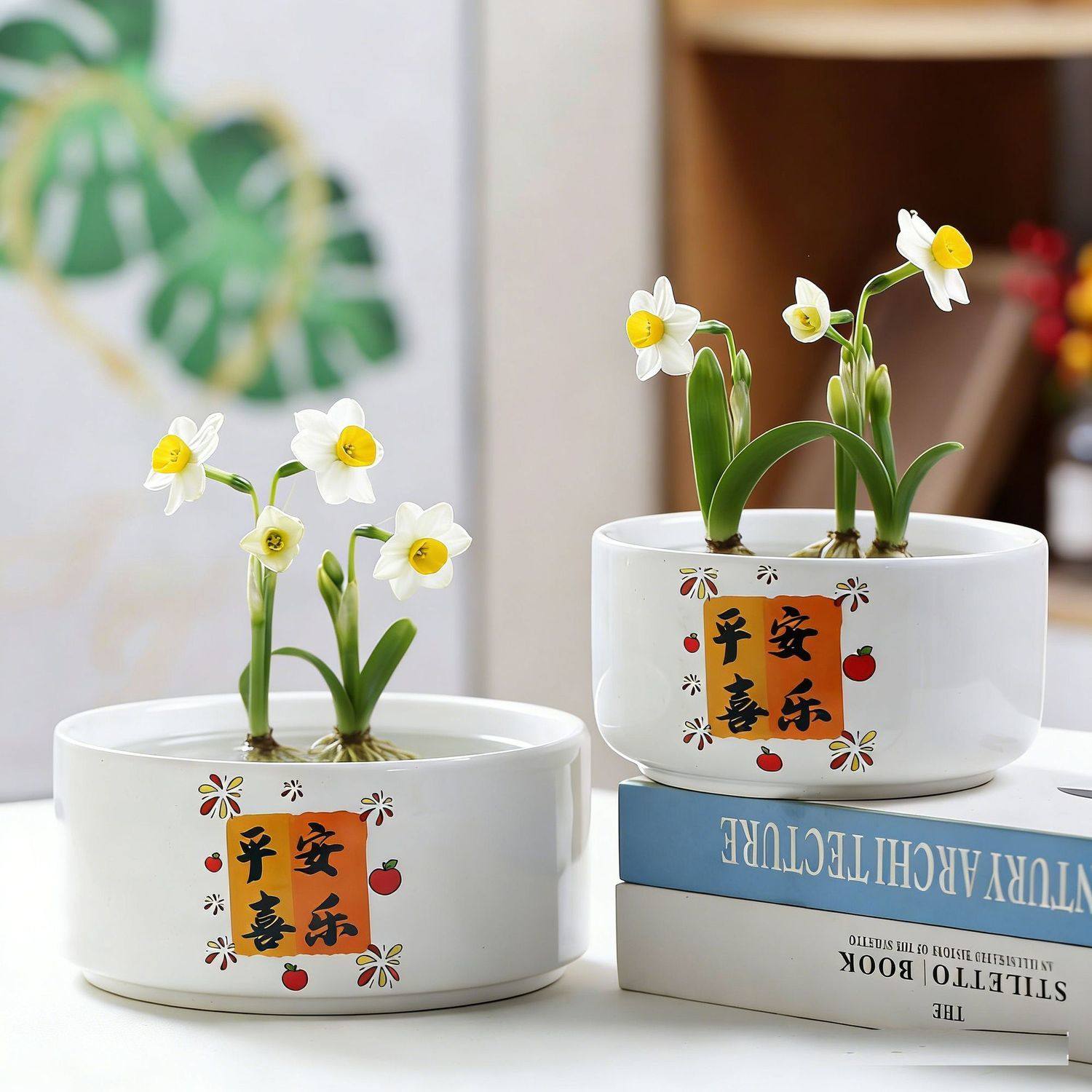 水培花盆陶瓷带托盘水仙花无孔金钱草睡莲桌面装饰一叶莲中大号