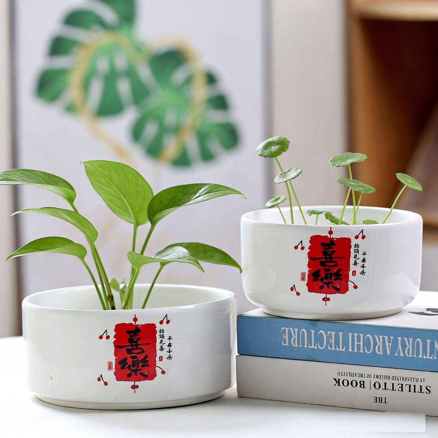 水培花盆陶瓷带托盘无孔金钱草睡莲水仙花一叶莲中大号桌面装饰