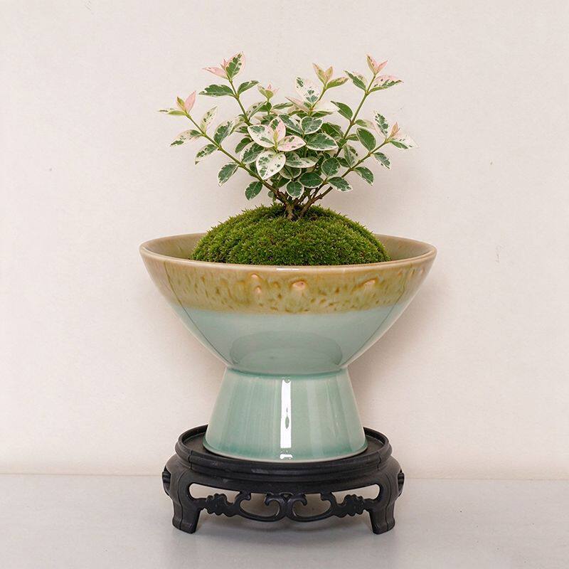 苔藓球专用托盘花盆陶瓷无孔桌面简约水培器皿米竹绿植室内造景