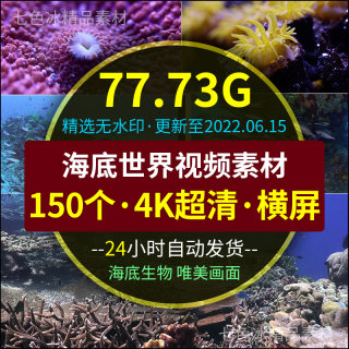 4K超清海底世界鱼群珊瑚海龟鲨鱼海洋生物视频剪辑素材大屏VJ背景